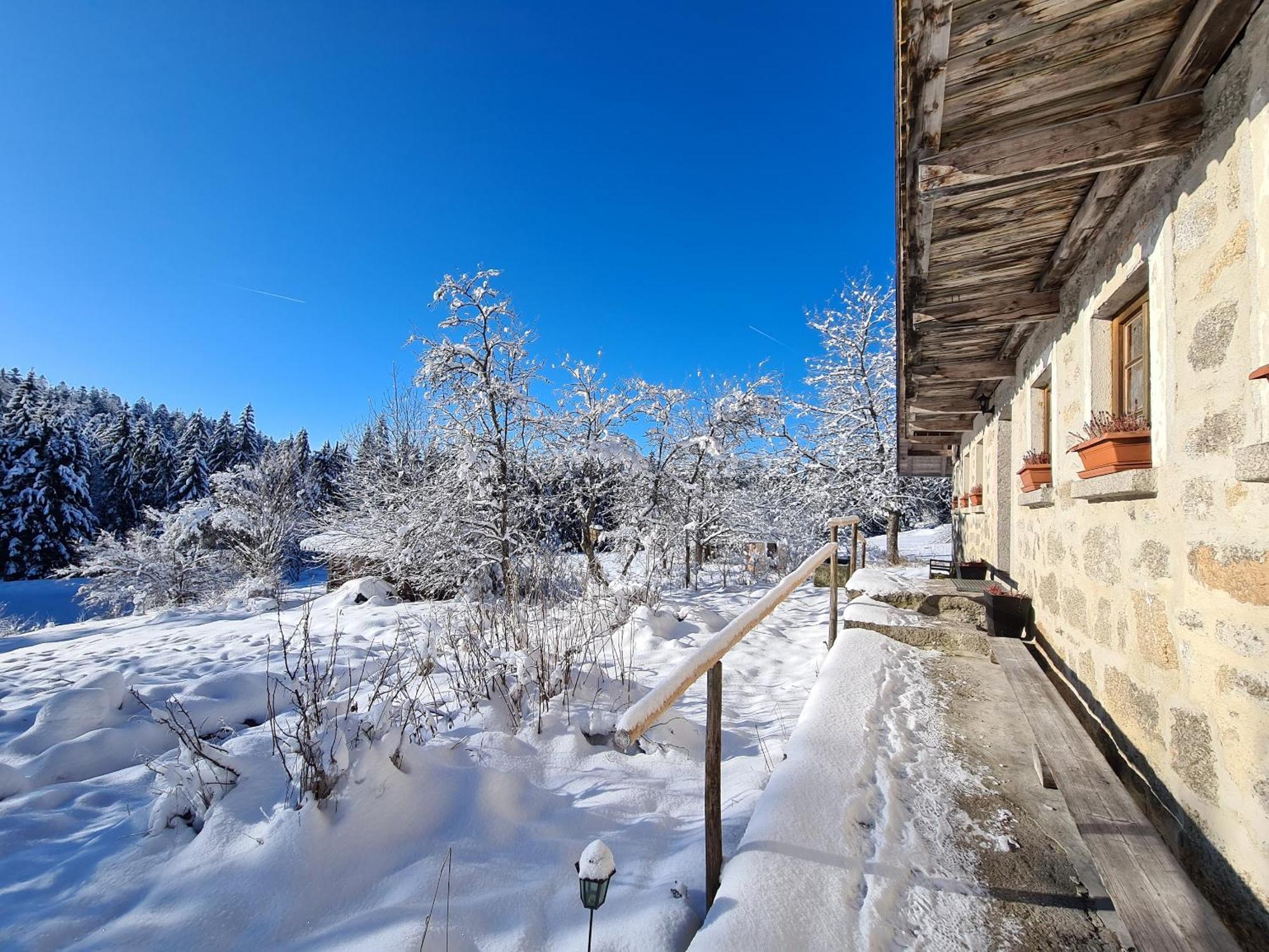 Ferienhaus Klause Neureichenau Exterior foto